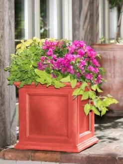 Fairfield Self-Watering Square Planter, 20” X 20” 16 Fairfield Self-Watering Square Planter, 20” X 20” -Gardener's supply company 39 618 08477 tif
