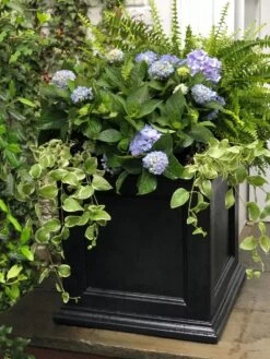 Fairfield Self-Watering Square Planter, 20” X 20” 13 Fairfield Self-Watering Square Planter, 20” X 20” -Gardener's supply company 39 618 205V tif