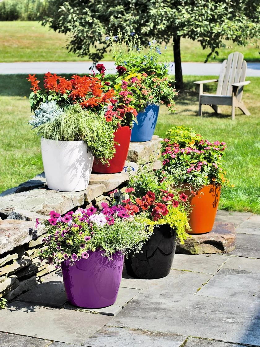 Viva Round Self-Watering Rolling Planter, 14" Diameter 3 Viva Round Self-Watering Rolling Planter, 14" Diameter