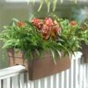 Self-Watering Railing Planter 1 Self-Watering Railing Planter -Gardener's supply company 40145 040 tif