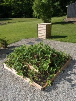3-Tier Strawberry Bed -Gardener's supply company 8586752 2341 tif