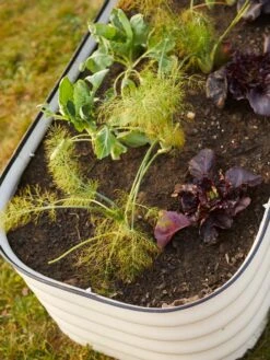 Birdies™ Modular Metal Raised Bed -Gardener's supply company 8586930 6019 tif