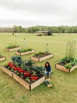 Deep Root Raised Beds, 14" Deep 4' Wide -Gardener's supply company 8587813 505 tif