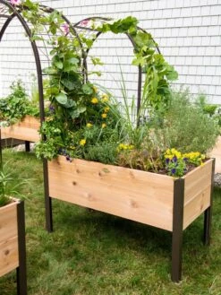 2’ X 4’ Arch Trellis For Planter Boxes -Gardener's supply company 8587823 0490