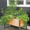 Elevated Planter Box, 2' X 4' 2 Elevated Planter Box, 2' X 4' -Gardener's supply company 8587823 8459 tif