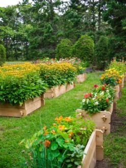 Farmstead Cedar Raised Garden Beds, 2' 13 Farmstead Cedar Raised Garden Beds, 2' -Gardener's supply company 8588137 05V tif