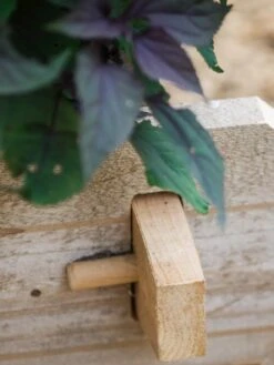 Farmstead Cedar Raised Garden Beds, 2' 16 Farmstead Cedar Raised Garden Beds, 2' -Gardener's supply company 8588144 12V tif