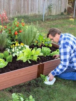 Composite Raised Bed With 1" Boards, 11" 20 Composite Raised Bed With 1" Boards, 11" -Gardener's supply company 8588274 02V tif