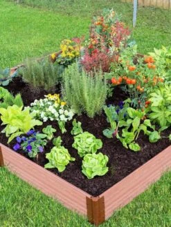Composite Raised Bed With 1" Boards, 11" 24 Composite Raised Bed With 1" Boards, 11" -Gardener's supply company 8588274 03V tif