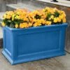 Fairfield Self-Watering Patio Planters, 20” X 36” -Gardener's supply company 8588417CNFL 113V tif