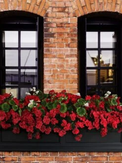 Fairfield Self-Watering Window Box, 5’ 14 Fairfield Self-Watering Window Box, 5’ -Gardener's supply company 8588938 102V tif