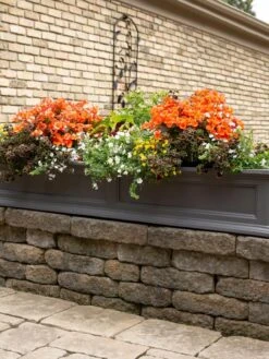 Fairfield Self-Watering Window Box, 5’ 15 Fairfield Self-Watering Window Box, 5’ -Gardener's supply company 8588938 105V tif