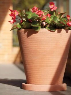 Universal Round Planter Saucers 9 Universal Round Planter Saucers -Gardener's supply company 8589526 001V tif