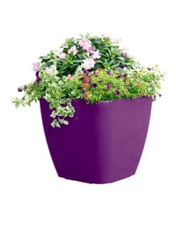 Viva Square Self-Watering Rolling Planter, 17.5" Diameter 9 Viva Square Self-Watering Rolling Planter, 17.5" Diameter -Gardener's supply company 8589778PR 6126 tif