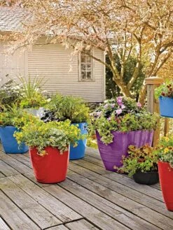 Viva Square Self-Watering Rolling Planter, 17.5" Diameter 8 Viva Square Self-Watering Rolling Planter, 17.5" Diameter -Gardener's supply company 8589778 09000 tif