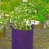 Gardener's Best® Potato Grow Bag 1 Gardener's Best® Potato Grow Bag -Gardener's supply company 8589785PR 4191 potato grow bags with handles tif