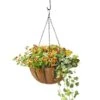 AquaSav™ Oxford Hanging Basket, 14" 2 AquaSav™ Oxford Hanging Basket, 14" -Gardener's supply company 8589789 028 tif