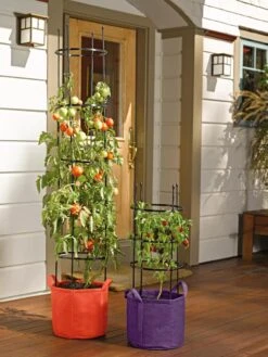Gardener's Best® Tomato Grow Bag Set -Gardener's supply company 8590013 170 tif