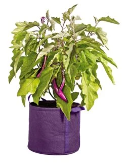 Gardener's Best® Universal Grow Bag -Gardener's supply company 8590024PR 214 tif