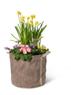 Gardener's Best® Universal Grow Bag -Gardener's supply company 8590024 7307 tif