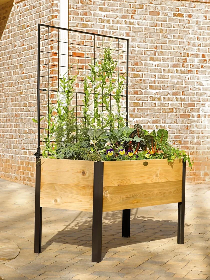 Elevated Planter Box And Space-Maker Pivoting Trellis Set, 2' X 4' 7 Elevated Planter Box And Space-Maker Pivoting Trellis Set, 2' X 4' - Image 5