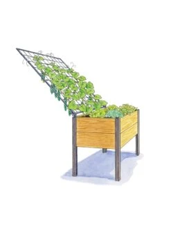 Elevated Planter Box And Space-Maker Pivoting Trellis Set, 2' X 4' 9 Elevated Planter Box And Space-Maker Pivoting Trellis Set, 2' X 4' -Gardener's supply company 8590247 SMTrellis 4ft tif