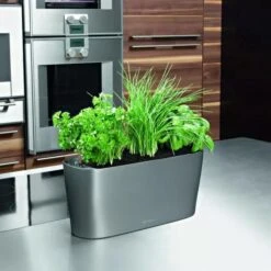 Lechuza® Delta Self-Watering Windowsill Planters 13 Lechuza® Delta Self-Watering Windowsill Planters -Gardener's supply company 8590298 02V tif