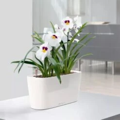 LechuzaĀ® Delta Self-Watering Windowsill Planters