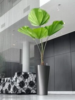 Lechuza® Delta Premium Self-Watering Planters -Gardener's supply company 8590299 02V tif