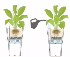 Lechuza® Delta Premium Self-Watering Planters -Gardener's supply company 8590299 07V tif