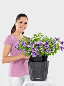 Lechuza® Nido Cottage Wicker Hanging Planter -Gardener's supply company 8591154GT 006V tif