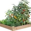 Cedar Raised Garden Bed, 4' X 4' X 6" 2 Cedar Raised Garden Bed, 4' X 4' X 6" -Gardener's supply company 8591724 01V tif