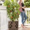 Gardener's Revolution® Tomato Planter -Gardener's supply company 8592159 406 001E tif