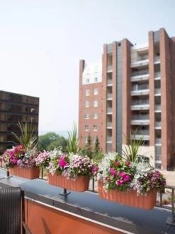 Adjustable Self-Watering Railing Planter, 24" -Gardener's supply company 8592173TC 2383 tif