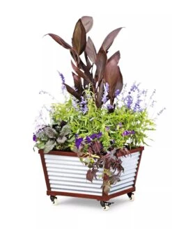 Galvanized Self-Watering Planters 9 Galvanized Self-Watering Planters -Gardener's supply company 8592176 5067 tif