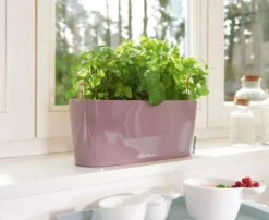 Lechuza® Delta Self-Watering Windowsill Planters 14 Lechuza® Delta Self-Watering Windowsill Planters -Gardener's supply company 8592361 01V tif
