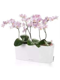 Lechuza® Delta Self-Watering Windowsill Planters 11 Lechuza® Delta Self-Watering Windowsill Planters -Gardener's supply company 8592361 02V tif