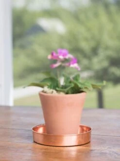 Extra Small Round Copper Plant Tray, 8" 14 Extra Small Round Copper Plant Tray, 8" -Gardener's supply company 8593528 4522 tif