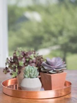 Large Round Copper Plant Tray, 14" -Gardener's supply company 8593531 4518 tif