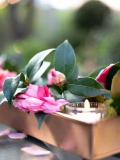 Rectangular Copper Plant Tray, 18"x4" -Gardener's supply company 8593532 02IN tif