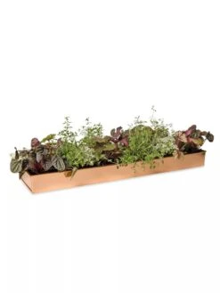Rectangular Copper Plant Tray, 24" X 5" -Gardener's supply company 8593533 2878 tif