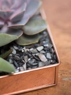 Rectangular Copper Plant Tray, 24" X 5" -Gardener's supply company 8593533 4570 tif