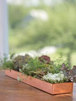 Rectangular Copper Plant Tray, 24" X 5" -Gardener's supply company 8593533 4626 tif
