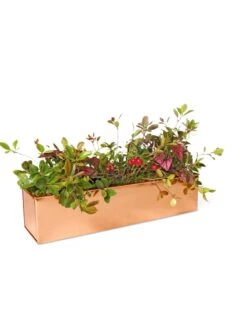 Tall Rectangular Copper Plant Tray, 18" X 5" X 4" -Gardener's supply company 8593534 2899 tif