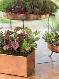 Front Page -Gardener's supply company 8593564 4430 tif