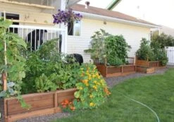 OLT Raised Cedar Garden Bed, 3' X 6' -Gardener's supply company 8594002 03V tif