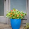 Viva Round Self-Watering Rolling Planter, 17.25” Diameter 2 Viva Round Self-Watering Rolling Planter, 17.25” Diameter -Gardener's supply company 8594077 0087 tif
