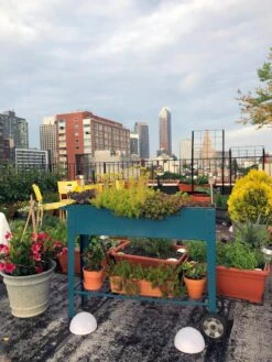 Demeter Mobile Planter Cart -Gardener's supply company 8594148 01CUST tif