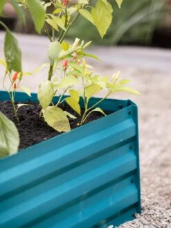 Demeter Corrugated Metal Raised Bed, 34" X 34" -Gardener's supply company 8594183 470 tif