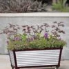 Short Galvanized Self-Watering Trough Planter 1 Short Galvanized Self-Watering Trough Planter -Gardener's supply company 8594329 5064 tif